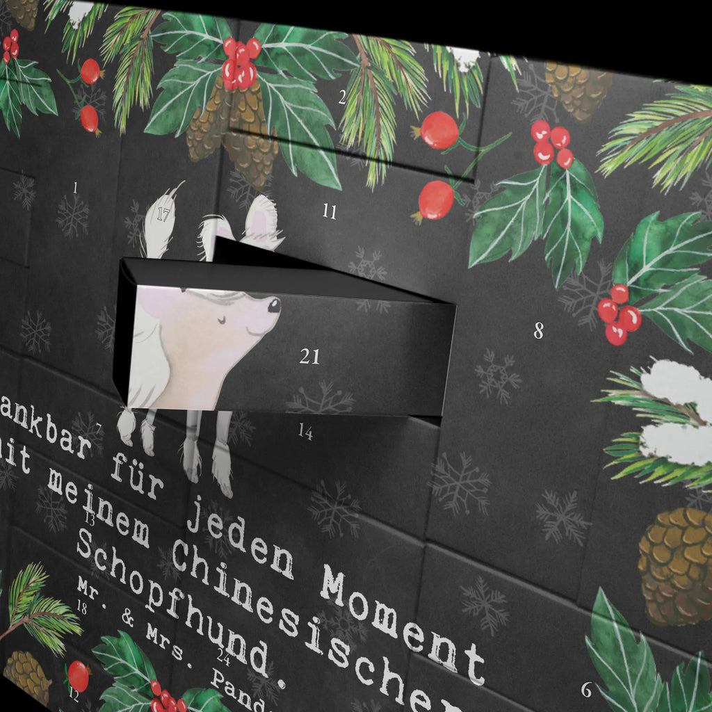 Fillable advent calendar Chinese Crested Dog Moment Adventskalender Schachtel, Adventskalender Box, Befüllbarer Adventskalender, Geschenke Adventskalender, Adventskalender leer, Adventskalender Zum Befüllen, Adventskalender, Adventskalender für Erwachsene, Adventskalender Zum Aufstellen, Adventskalender mit 24 Schachteln, Erwachsenen Adventskalender, Weihnachtskalender Schachteln, Bastel Adventskalender, Adventskalender Zum Füllen, Weihnachtskalender Selbst Befüllen, Adventskalender Karton, Adventskalender ohne Inhalt, Kalender Zum Befüllen, Schachtel Adventskalender, Adventskalender Deko, Geschenkekalender, Adventskalender Zum Selbst Befüllen, Weihnachtskalender Boxen, Diy Adventskalender, Adventskalender Schachteln, Adventskalender Selbst Befüllen, Adventskalender 24 Boxen, Weihnachtskalender Zum Befüllen, Tisch Adventskalender, Weihnachtskalender, Karton Adventskalender, Leerer Adventskalender, Adventskalender Boxen, Geschenk, Schenken, Hund, Hunderasse, Rassehund, Hundebesitzer, Tierfreund, Welpe, Chinese Crested Dog, Chinesischer Schopfhund