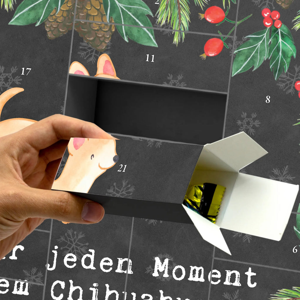 Fillable advent calendar Chihuahua moment gift, animal lover, giving, dog breed, purebred dog, dog owner, puppy