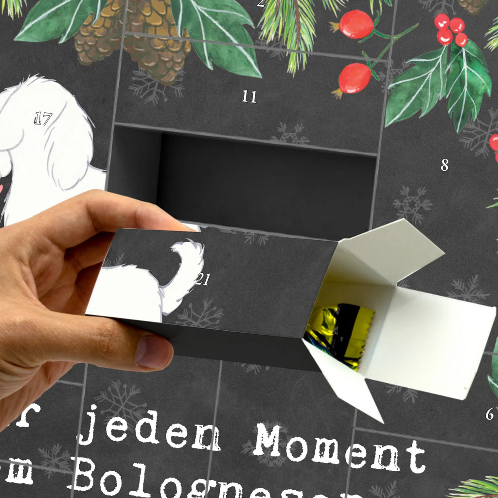Fillable advent calendar Bolognese Moment Befüllbarer Adventskalender, Adventskalender Zum Selbst Befüllen, Adventskalender Zum Aufstellen, Kalender Zum Befüllen, Adventskalender Boxen, Adventskalender für Erwachsene, Weihnachtskalender Schachteln, Leerer Adventskalender, Weihnachtskalender Boxen, Adventskalender Zum Füllen, Karton Adventskalender, Adventskalender mit 24 Schachteln, Weihnachtskalender Selbst Befüllen, Weihnachtskalender, Schachtel Adventskalender, Adventskalender ohne Inhalt, Bastel Adventskalender, Adventskalender Box, Adventskalender Schachteln, Adventskalender Deko, Diy Adventskalender, Geschenke Adventskalender, Geschenkekalender, Adventskalender leer, Adventskalender Selbst Befüllen, Tisch Adventskalender, Adventskalender Zum Befüllen, Adventskalender, Weihnachtskalender Zum Befüllen, Adventskalender 24 Boxen, Adventskalender Karton, Erwachsenen Adventskalender, Adventskalender Schachtel, Geschenk, Schenken, Hund, Hunderasse, Rassehund, Hundebesitzer, Tierfreund, Welpe, Bologneser