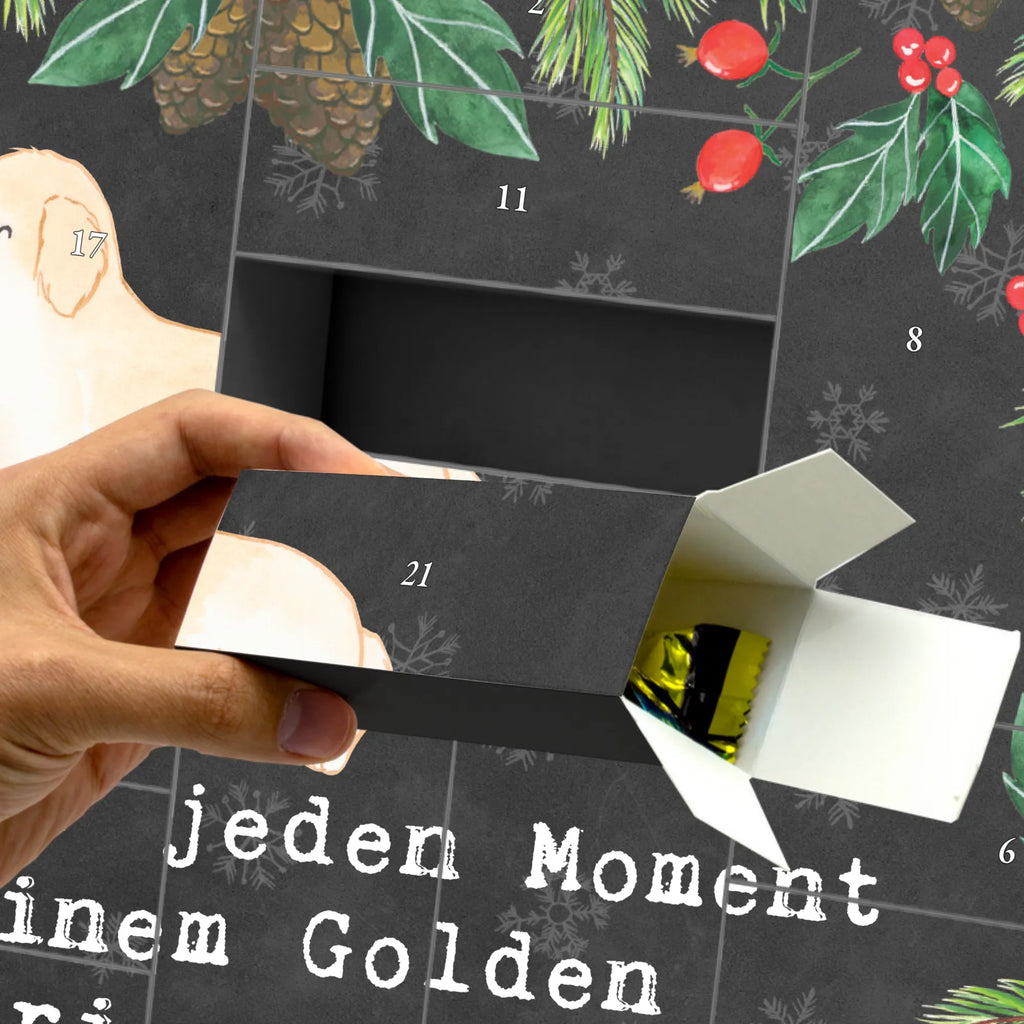 Fillable advent calendar Golden Retriever moment Adventskalender Zum Aufstellen, Weihnachtskalender, Adventskalender Box, Schachtel Adventskalender, Geschenkekalender, Adventskalender für Erwachsene, Weihnachtskalender Boxen, Weihnachtskalender Zum Befüllen, Adventskalender leer, Adventskalender, Befüllbarer Adventskalender, Tisch Adventskalender, Leerer Adventskalender, Adventskalender Zum Füllen, Adventskalender Schachtel, Kalender Zum Befüllen, Adventskalender Zum Befüllen, Adventskalender Boxen, Adventskalender 24 Boxen, Erwachsenen Adventskalender, Geschenke Adventskalender, Karton Adventskalender, Adventskalender mit 24 Schachteln, Weihnachtskalender Schachteln, Adventskalender Selbst Befüllen, Weihnachtskalender Selbst Befüllen, Adventskalender Karton, Adventskalender Zum Selbst Befüllen, Adventskalender Schachteln, Adventskalender Deko, Adventskalender ohne Inhalt, Diy Adventskalender, Bastel Adventskalender, Geschenk, Schenken, Hund, Hunderasse, Rassehund, Hundebesitzer, Tierfreund, Welpe, Golden Retriever, Goldie Hund