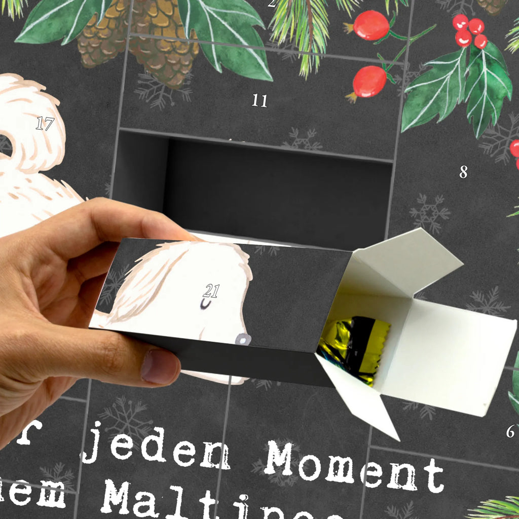 Befüllbarer Adventskalender Maltipoo Moment Weihnachtskalender Zum Befüllen, Geschenke Adventskalender, Geschenkekalender, Adventskalender Schachtel, Adventskalender Box, Leerer Adventskalender, Weihnachtskalender Schachteln, Adventskalender Karton, Adventskalender Selbst Befüllen, Weihnachtskalender, Tisch Adventskalender, Adventskalender 24 Boxen, Adventskalender Zum Befüllen, Adventskalender ohne Inhalt, Adventskalender Zum Selbst Befüllen, Diy Adventskalender, Adventskalender Schachteln, Adventskalender Zum Füllen, Adventskalender für Erwachsene, Adventskalender Boxen, Schachtel Adventskalender, Adventskalender Deko, Befüllbarer Adventskalender, Kalender Zum Befüllen, Karton Adventskalender, Bastel Adventskalender, Adventskalender Zum Aufstellen, Weihnachtskalender Boxen, Adventskalender leer, Erwachsenen Adventskalender, Weihnachtskalender Selbst Befüllen, Adventskalender mit 24 Schachteln, Adventskalender, Geschenk, Schenken, Hund, Hunderasse, Rassehund, Hundebesitzer, Tierfreund, Welpe, Maltipoo, Kreuzung, Mischling
