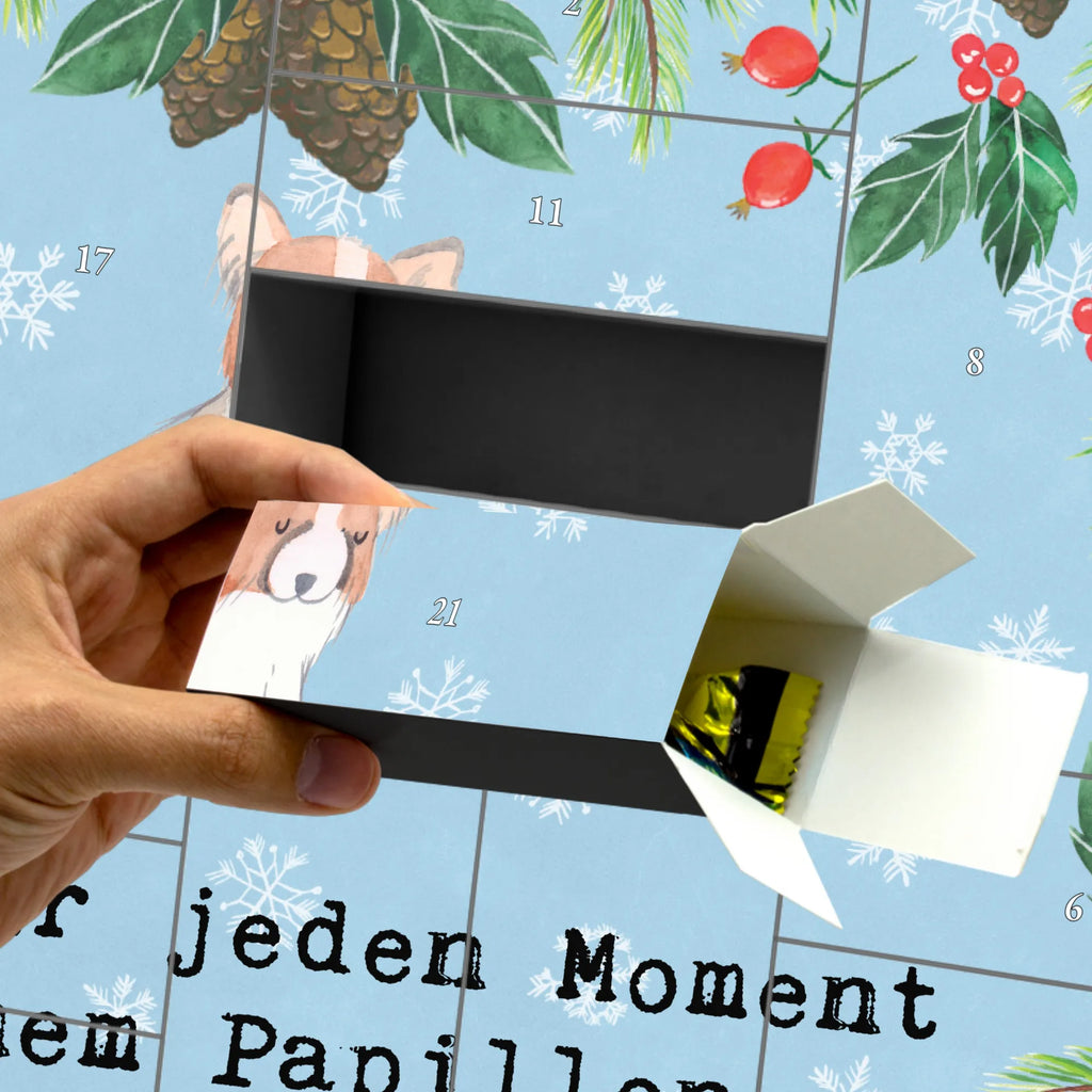 Fillable advent calendar Butterfly Moment Adventskalender mit 24 Schachteln, Adventskalender Selbst Befüllen, Schachtel Adventskalender, Adventskalender Box, Kalender Zum Befüllen, Bastel Adventskalender, Geschenke Adventskalender, Adventskalender Schachtel, Karton Adventskalender, Adventskalender Karton, Weihnachtskalender Boxen, Adventskalender für Erwachsene, Adventskalender Zum Aufstellen, Adventskalender Zum Selbst Befüllen, Weihnachtskalender, Adventskalender, Adventskalender leer, Erwachsenen Adventskalender, Leerer Adventskalender, Adventskalender ohne Inhalt, Adventskalender Zum Füllen, Diy Adventskalender, Weihnachtskalender Zum Befüllen, Adventskalender Schachteln, Adventskalender Zum Befüllen, Adventskalender 24 Boxen, Tisch Adventskalender, Adventskalender Boxen, Befüllbarer Adventskalender, Weihnachtskalender Selbst Befüllen, Weihnachtskalender Schachteln, Geschenkekalender, Adventskalender Deko, Geschenk, Schenken, Hund, Hunderasse, Rassehund, Hundebesitzer, Tierfreund, Welpe, Papillon, Kontinentaler Zwergspaniel