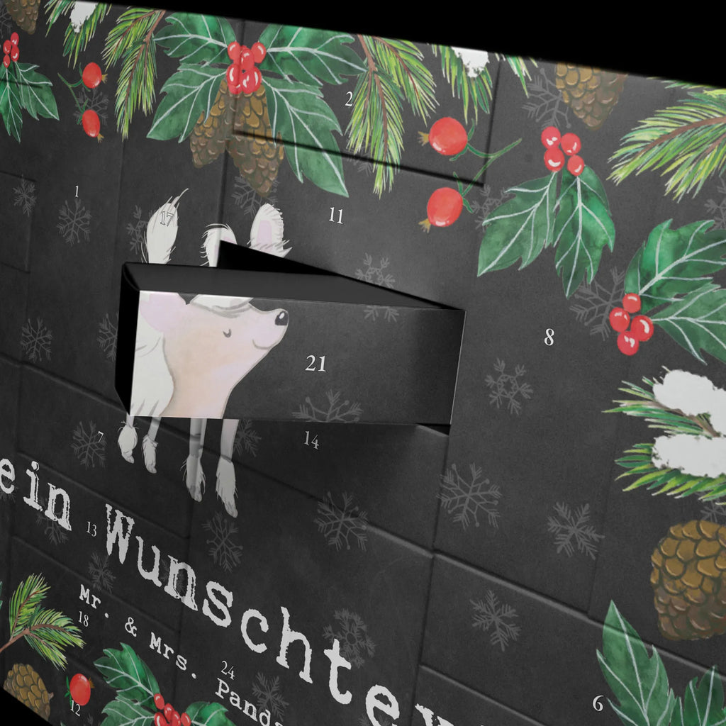 Personalisierter Befüllbarer Adventskalender Chinesischer Schopfhund Moment Adventskalender Zum Selbst Befüllen, Befüllbarer Adventskalender, Geschenk, Schenken, Hund, Hunderasse, Rassehund, Hundebesitzer, Tierfreund, Welpe, Chinese Crested Dog, Chinesischer Schopfhund