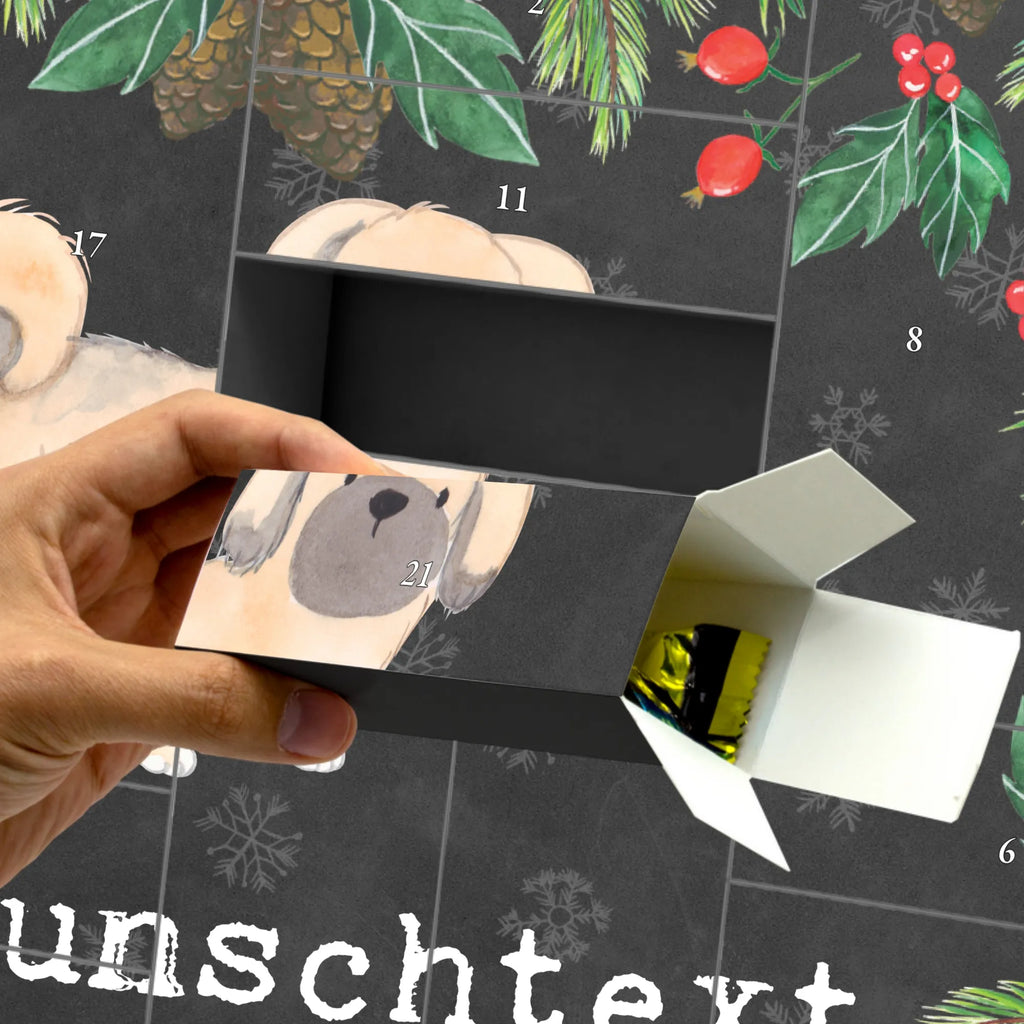  Pekingese moment Dog, dog breed, purebred dog, dog owner, gift, animal lover, giving, puppy