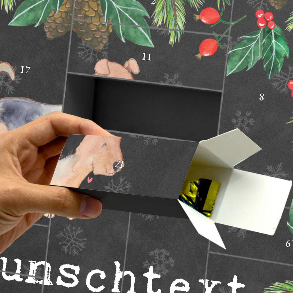  terier airedalski Chwila Pies, rasa psa, pies rasowy, właściciel psa, prezent, miłośnik zwierząt, dawanie, szczeniak