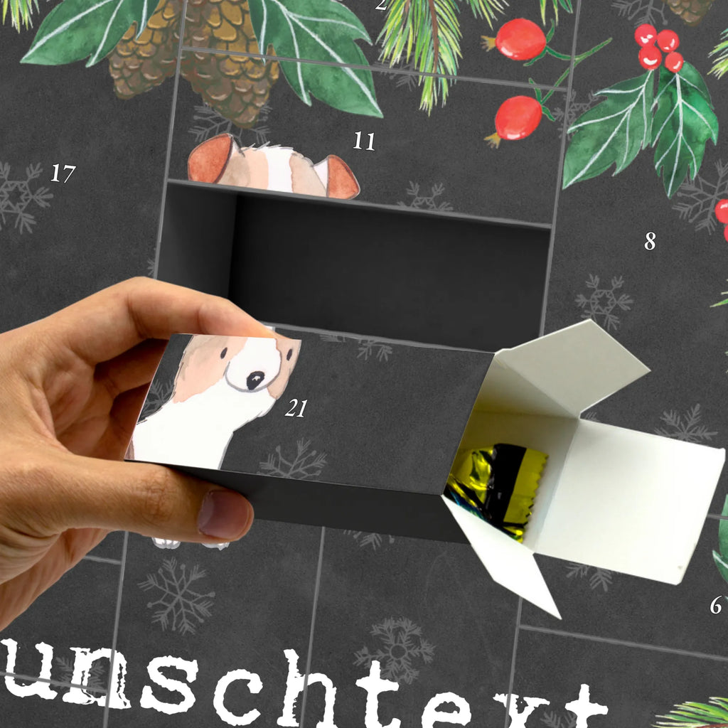  Jack Russell Terrier chwila Pies, rasa psa, pies rasowy, właściciel psa, prezent, miłośnik zwierząt, dawanie, szczeniak