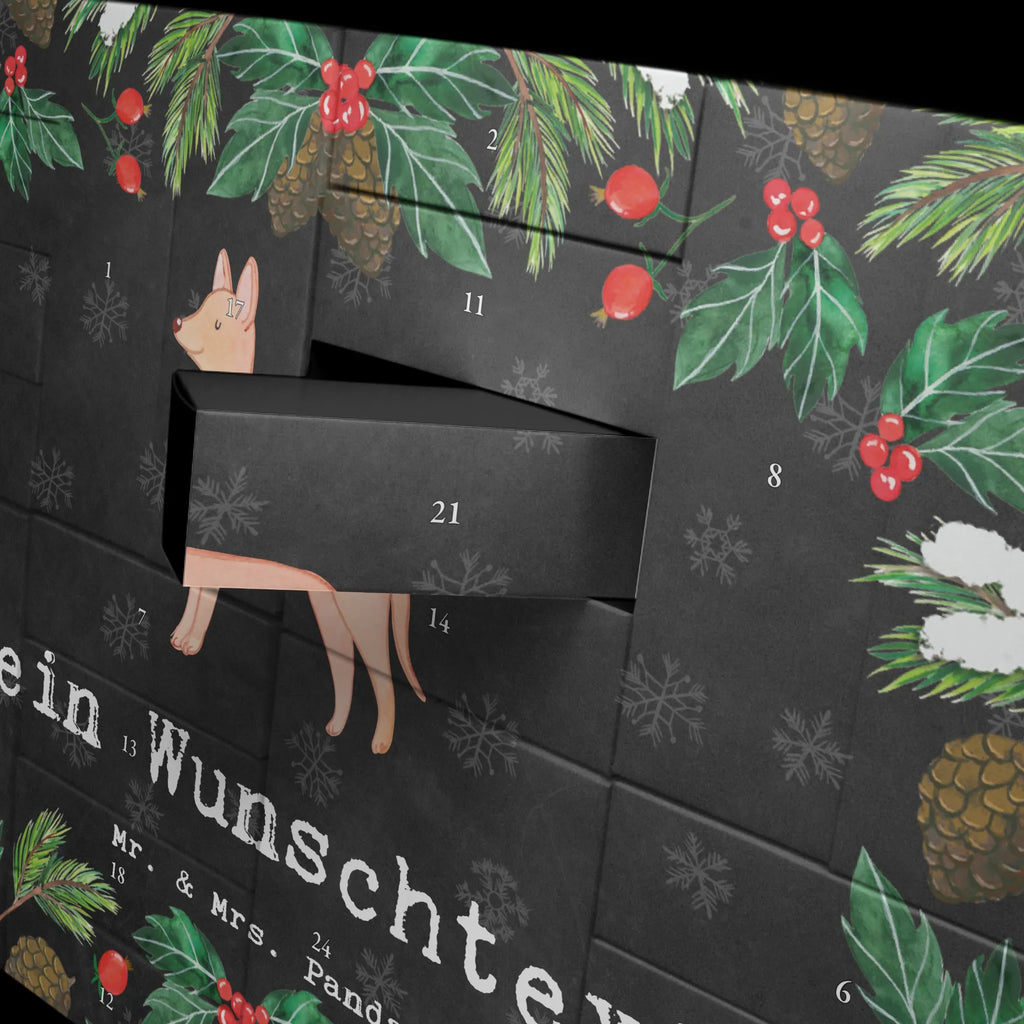Personalisierter Befüllbarer Adventskalender Pharaonenhund Moment Befüllbarer Adventskalender, Adventskalender Zum Selbst Befüllen, Geschenk, Schenken, Hund, Hunderasse, Rassehund, Hundebesitzer, Tierfreund, Welpe, Pharaonenhund, Pharaoh Hound, Kelb Tal-Fenek