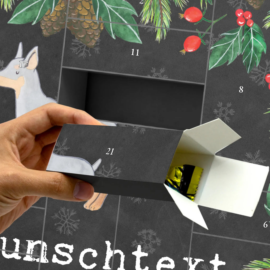  Doberman Pinscher moment Befüllbarer Adventskalender, Adventskalender Zum Selbst Befüllen, Geschenk, Schenken, Hund, Hunderasse, Rassehund, Hundebesitzer, Tierfreund, Welpe, Dobermann Pinscher