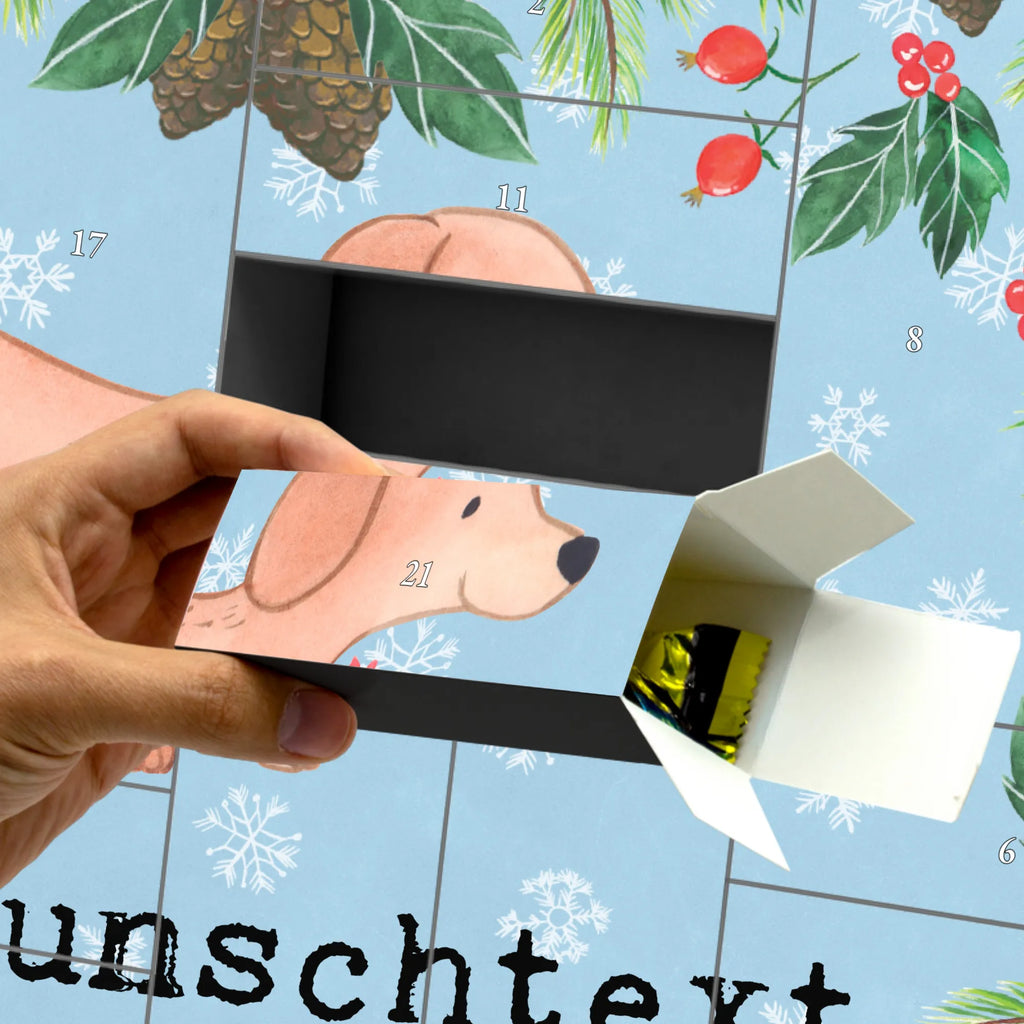  Dachshund Smooth-haired Dachshund moment Adventskalender Zum Selbst Befüllen, Befüllbarer Adventskalender, Geschenk, Schenken, Hund, Hunderasse, Rassehund, Hundebesitzer, Tierfreund, Welpe, Dachshund, Kurzhaardackel, Teckel
