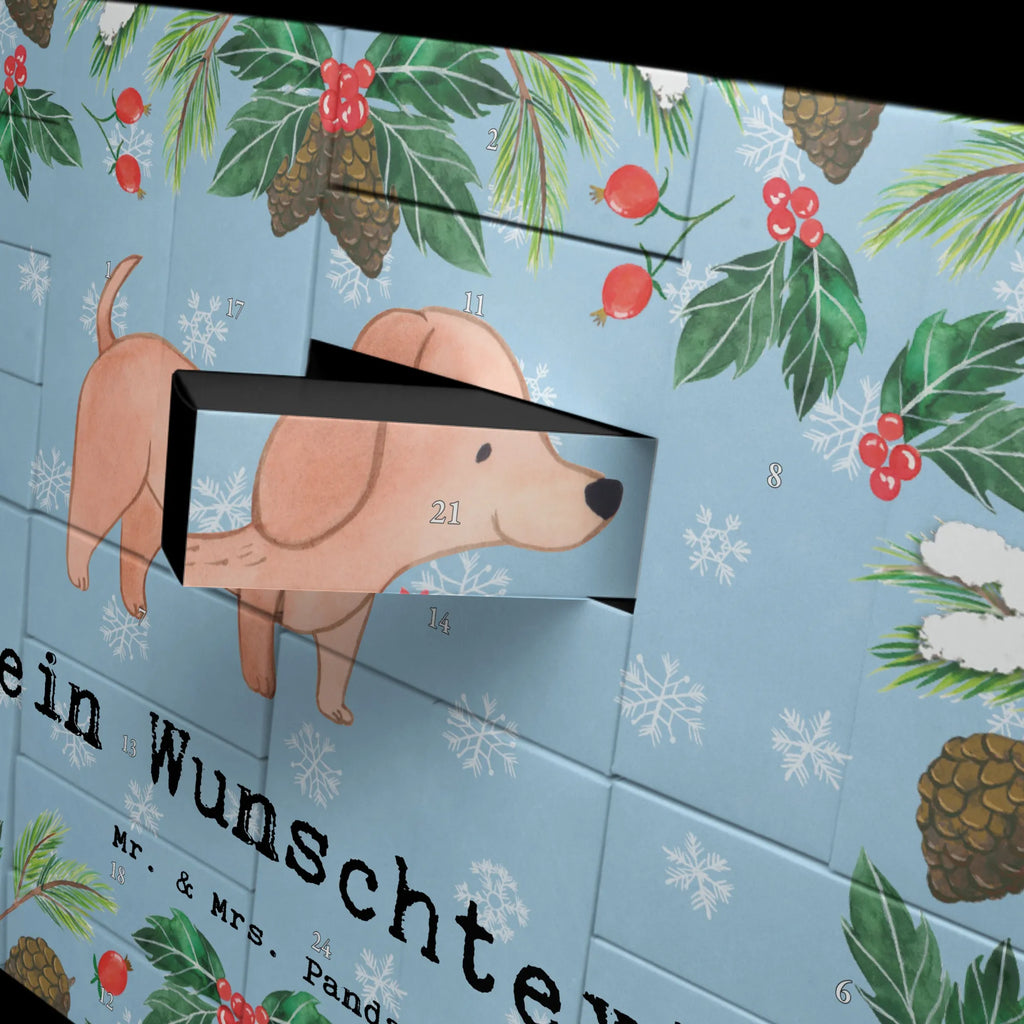  Dachshund Smooth-haired Dachshund moment Adventskalender Zum Selbst Befüllen, Befüllbarer Adventskalender, Geschenk, Schenken, Hund, Hunderasse, Rassehund, Hundebesitzer, Tierfreund, Welpe, Dachshund, Kurzhaardackel, Teckel