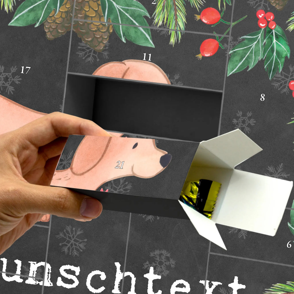  Dachshund Smooth-haired Dachshund moment Adventskalender Zum Selbst Befüllen, Befüllbarer Adventskalender, Geschenk, Schenken, Hund, Hunderasse, Rassehund, Hundebesitzer, Tierfreund, Welpe, Dachshund, Kurzhaardackel, Teckel
