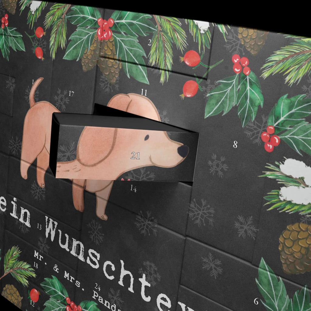  Dachshund Smooth-haired Dachshund moment Adventskalender Zum Selbst Befüllen, Befüllbarer Adventskalender, Geschenk, Schenken, Hund, Hunderasse, Rassehund, Hundebesitzer, Tierfreund, Welpe, Dachshund, Kurzhaardackel, Teckel
