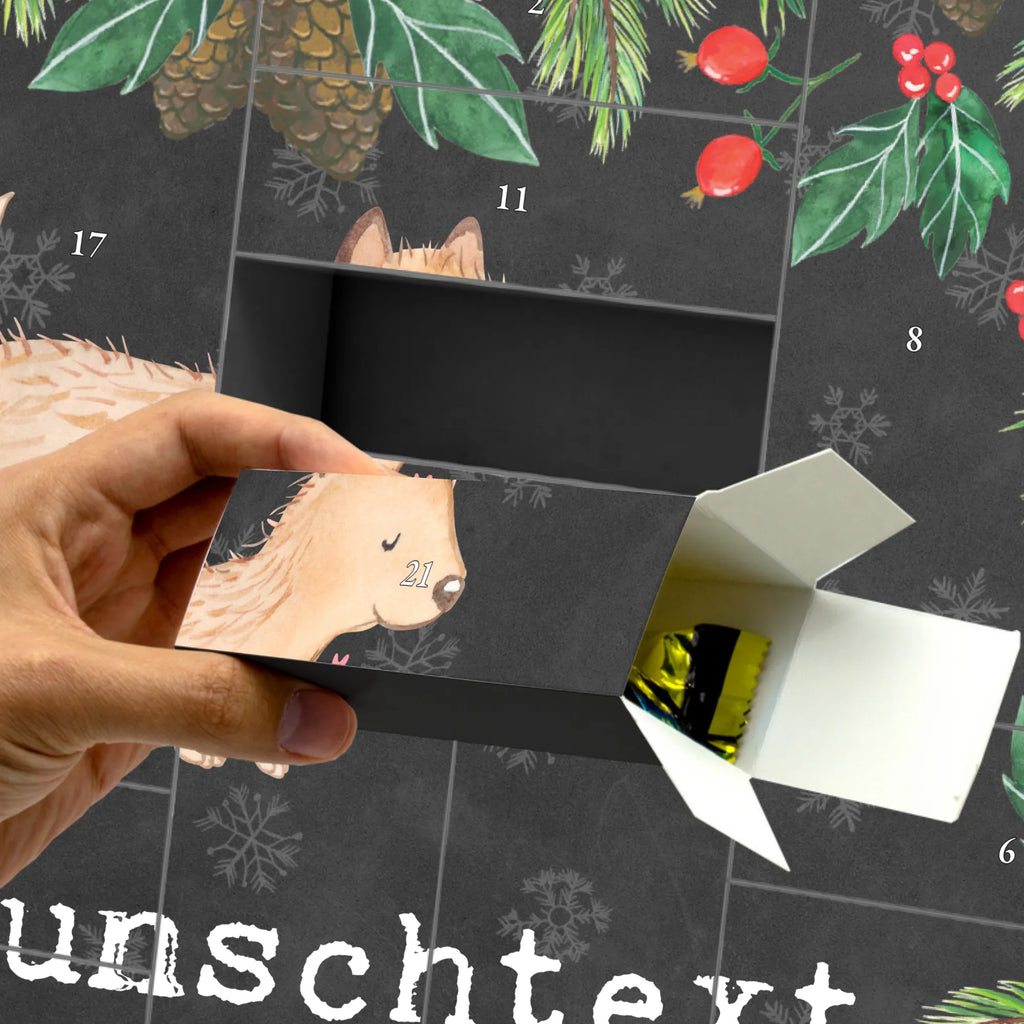 Personalisierter Befüllbarer Adventskalender Cairn Terrier Moment Adventskalender Zum Selbst Befüllen, Befüllbarer Adventskalender, Geschenk, Schenken, Hund, Hunderasse, Rassehund, Hundebesitzer, Tierfreund, Welpe, Cairn Terrier