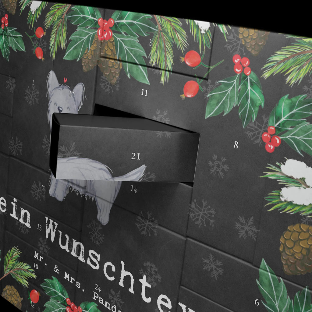 Personalisierter Befüllbarer Adventskalender Skye Terrier Moment Adventskalender Zum Selbst Befüllen, Befüllbarer Adventskalender, Geschenk, Schenken, Hund, Hunderasse, Rassehund, Hundebesitzer, Tierfreund, Welpe, Terrier, Skye Terrier