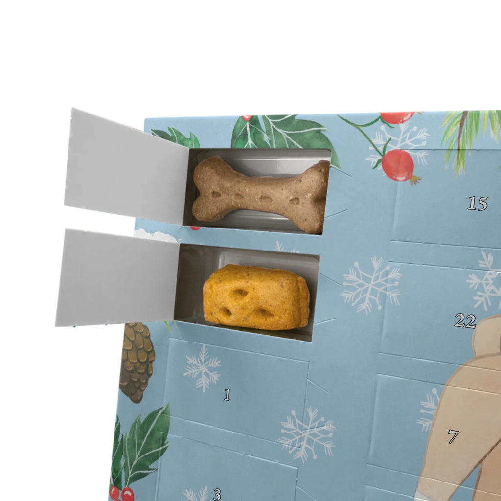 Personalisierter Hunde Adventskalender Basenji Moment Hunde Adventskalender, Geschenk, Schenken, Hund, Hunderasse, Rassehund, Hundebesitzer, Tierfreund, Welpe, Kongo-Terrier, Basenji