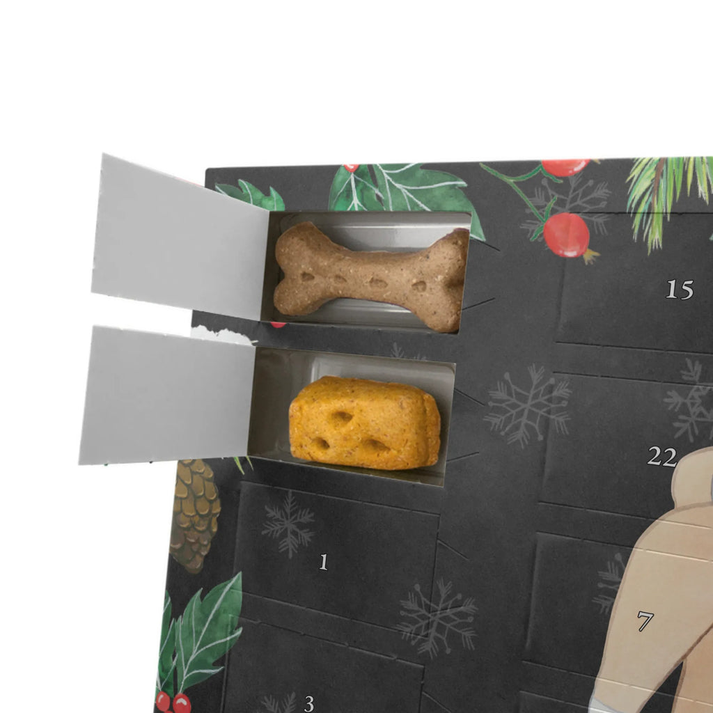 Personalisierter Hunde Adventskalender Basenji Moment Hunde Adventskalender, Geschenk, Schenken, Hund, Hunderasse, Rassehund, Hundebesitzer, Tierfreund, Welpe, Kongo-Terrier, Basenji