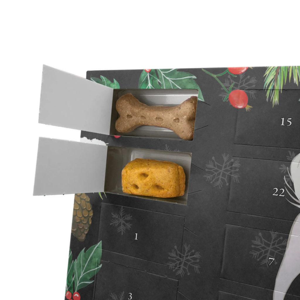Personalisierter Hunde Adventskalender Chinesischer Schopfhund Moment Hunde Adventskalender, Geschenk, Schenken, Hund, Hunderasse, Rassehund, Hundebesitzer, Tierfreund, Welpe, Chinesischer Schopfhund, Chinese Crested Dog