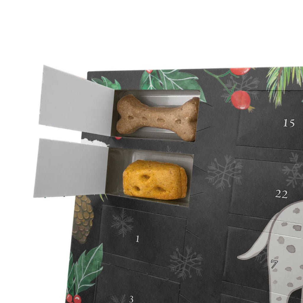 Personalisierter Hunde Adventskalender Dalmatiner Moment Hunde Adventskalender, Geschenk, Schenken, Hund, Hunderasse, Rassehund, Hundebesitzer, Tierfreund, Welpe, Dalmatinac, Dalmatiner