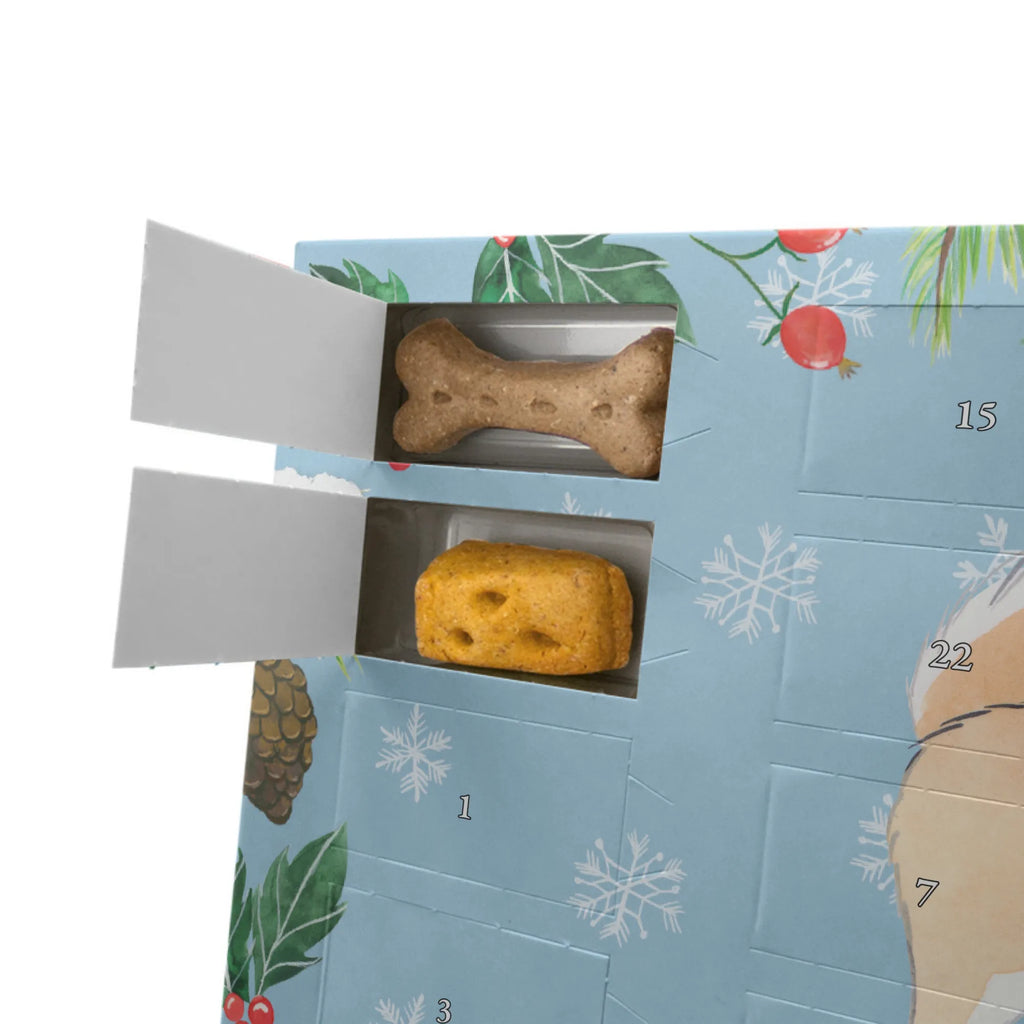 Personalisierter Hunde Adventskalender Islandhund Moment Hunde Adventskalender, Geschenk, Schenken, Hund, Hunderasse, Rassehund, Hundebesitzer, Tierfreund, Welpe, Islandhund, Isländischer Schäferhund