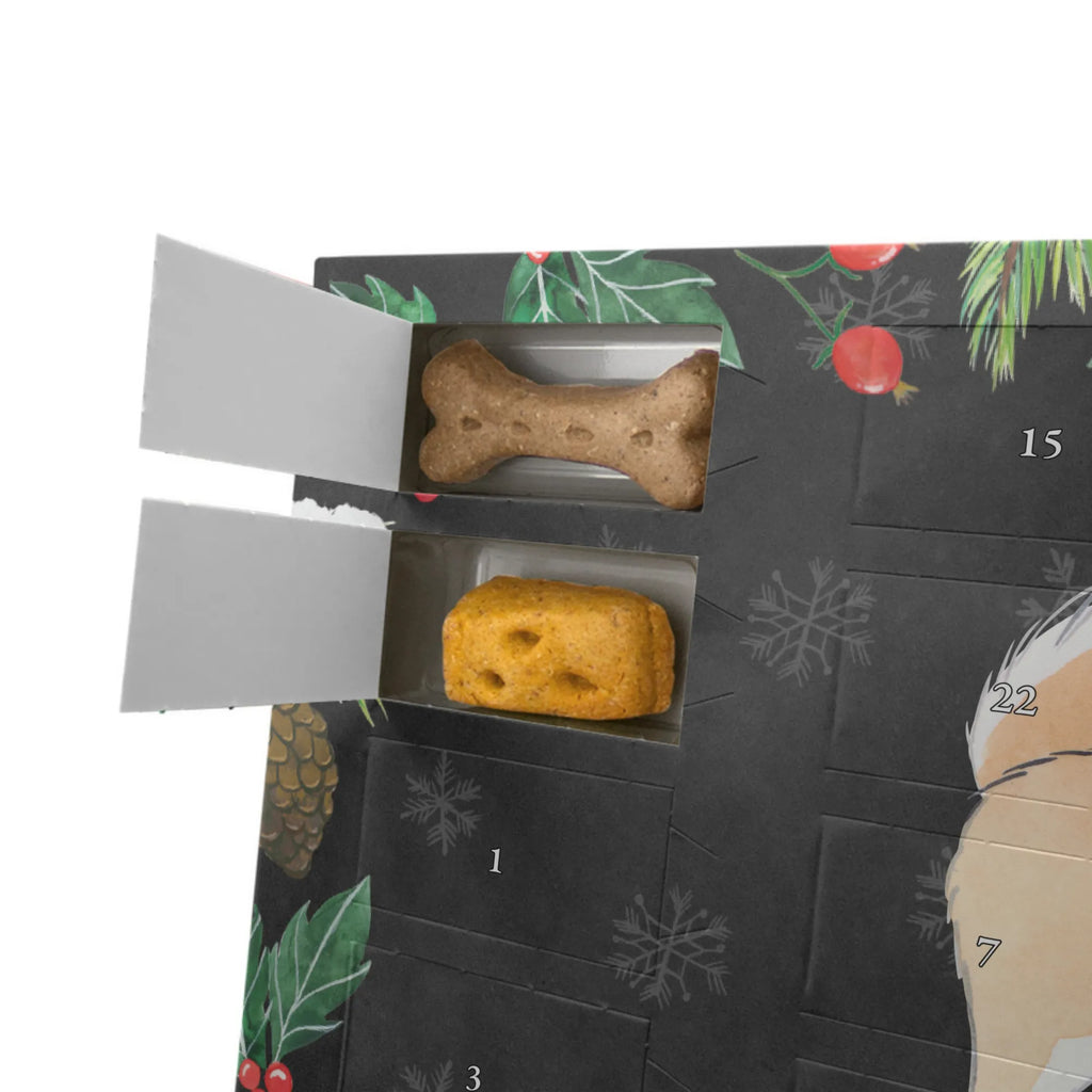 Personalisierter Hunde Adventskalender Islandhund Moment Hunde Adventskalender, Geschenk, Schenken, Hund, Hunderasse, Rassehund, Hundebesitzer, Tierfreund, Welpe, Islandhund, Isländischer Schäferhund