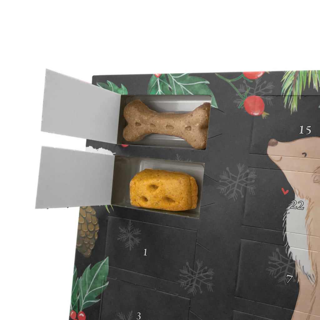 Personalisierter Hunde Adventskalender Nova Scotia Duck Moment Hunde Adventskalender, Geschenk, Schenken, Hund, Hunderasse, Rassehund, Hundebesitzer, Tierfreund, Welpe, Nova Scotia Duck Tolling Retriever, Retriever