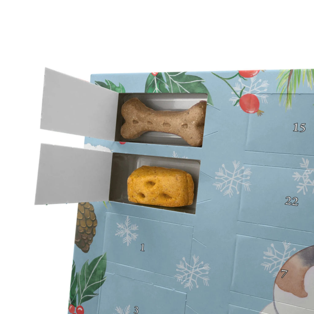 Personalisierter Hunde Adventskalender Foxhound Moment Hunde Adventskalender, Geschenk, Schenken, Hund, Hunderasse, Rassehund, Hundebesitzer, Tierfreund, Welpe, Jagdhund, Foxhound, Laufhund