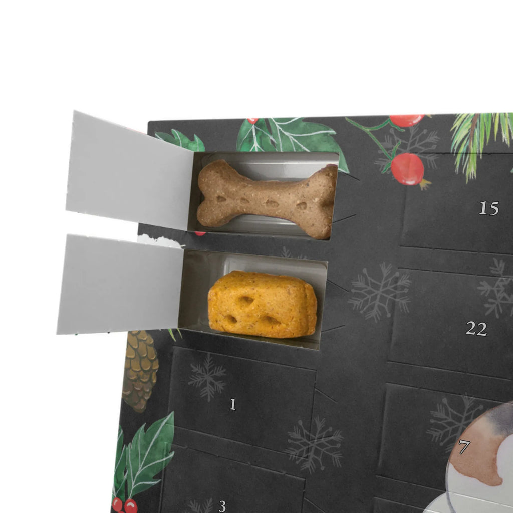 Personalisierter Hunde Adventskalender Foxhound Moment Hunde Adventskalender, Geschenk, Schenken, Hund, Hunderasse, Rassehund, Hundebesitzer, Tierfreund, Welpe, Jagdhund, Foxhound, Laufhund