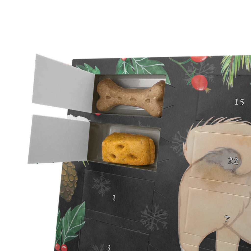 Personalisierter Hunde Adventskalender Pekingese Moment Hunde Adventskalender, Geschenk, Schenken, Hund, Hunderasse, Rassehund, Hundebesitzer, Tierfreund, Welpe, Peking-Palasthund, Pekinese, Pekingese