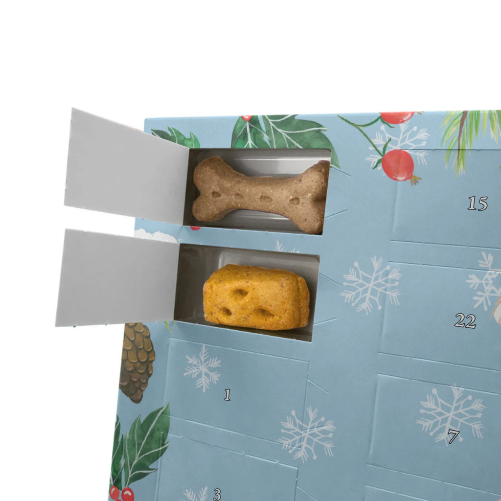 Personalisierter Hunde Adventskalender Bolonka Zwetna Moment Hunde Adventskalender, Geschenk, Schenken, Hund, Hunderasse, Rassehund, Hundebesitzer, Tierfreund, Welpe, Bolonka Zwetna, Tsvetnaya Bolonka
