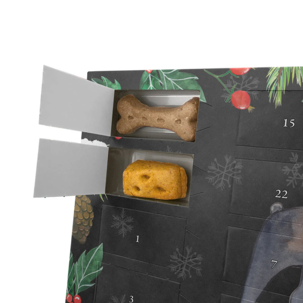  Boston Terrier Moment Hunde Adventskalender, Geschenk, Schenken, Hund, Hunderasse, Rassehund, Hundebesitzer, Tierfreund, Welpe, Boston Terrier