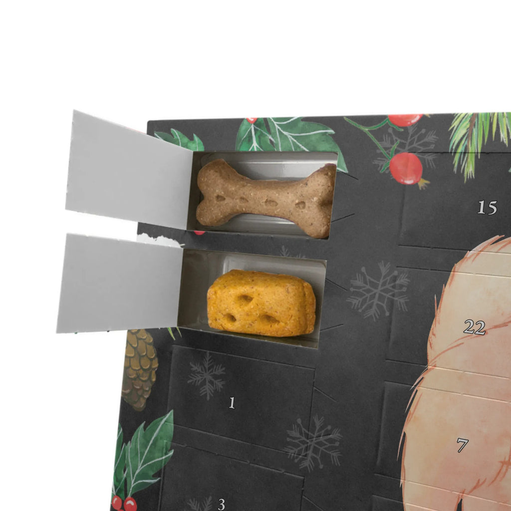  Chow-Chow Moment Dog, dog breed, purebred dog, dog owner, gift, animal lover, giving, puppy