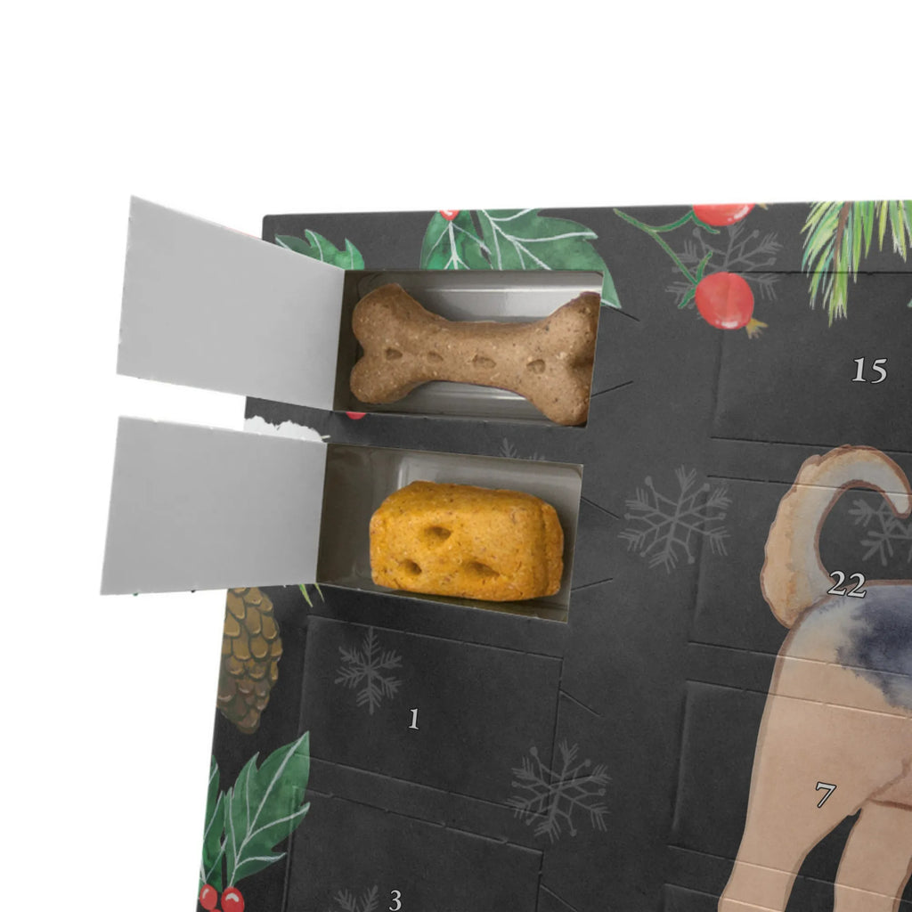 Personalisierter Hunde Adventskalender Airedale Terrier Moment Hunde Adventskalender, Geschenk, Schenken, Hund, Hunderasse, Rassehund, Hundebesitzer, Tierfreund, Welpe, Airedale Terrier