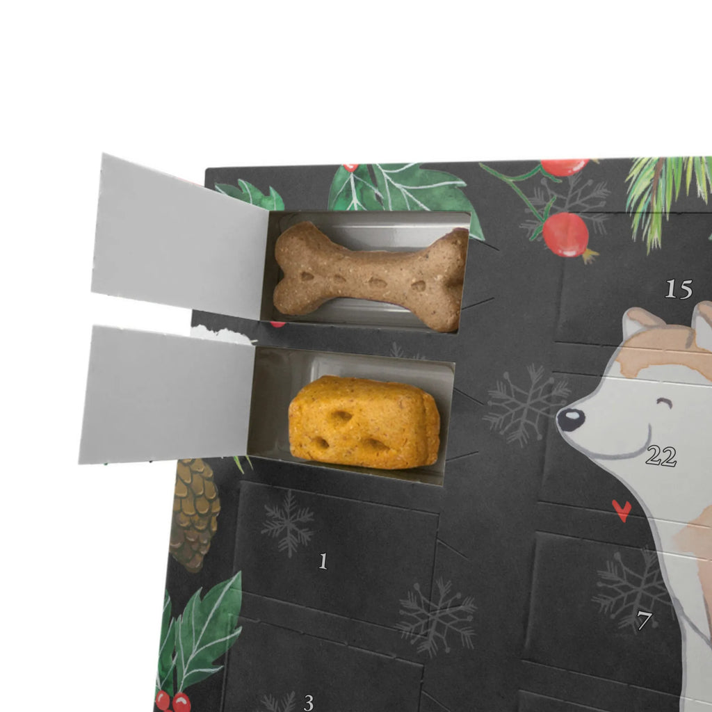 Personalisierter Hunde Adventskalender Akita Inu Moment Hunde Adventskalender, Geschenk, Schenken, Hund, Hunderasse, Rassehund, Hundebesitzer, Tierfreund, Welpe, Akita Ken, Akita-Inu, Akita Inu, Japanischer Akita