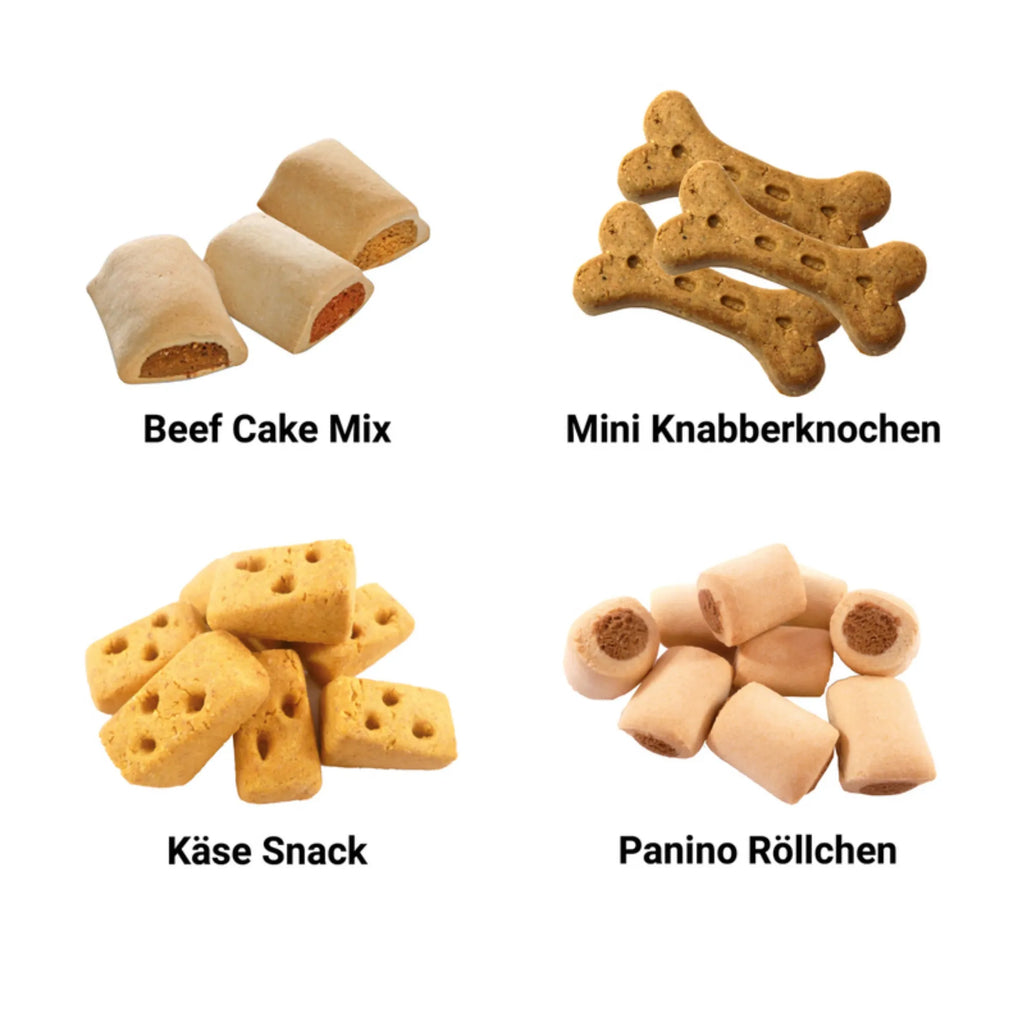 Personalisierter Hunde Adventskalender Akita Inu Moment Hunde Adventskalender, Geschenk, Schenken, Hund, Hunderasse, Rassehund, Hundebesitzer, Tierfreund, Welpe, Akita Ken, Akita-Inu, Akita Inu, Japanischer Akita