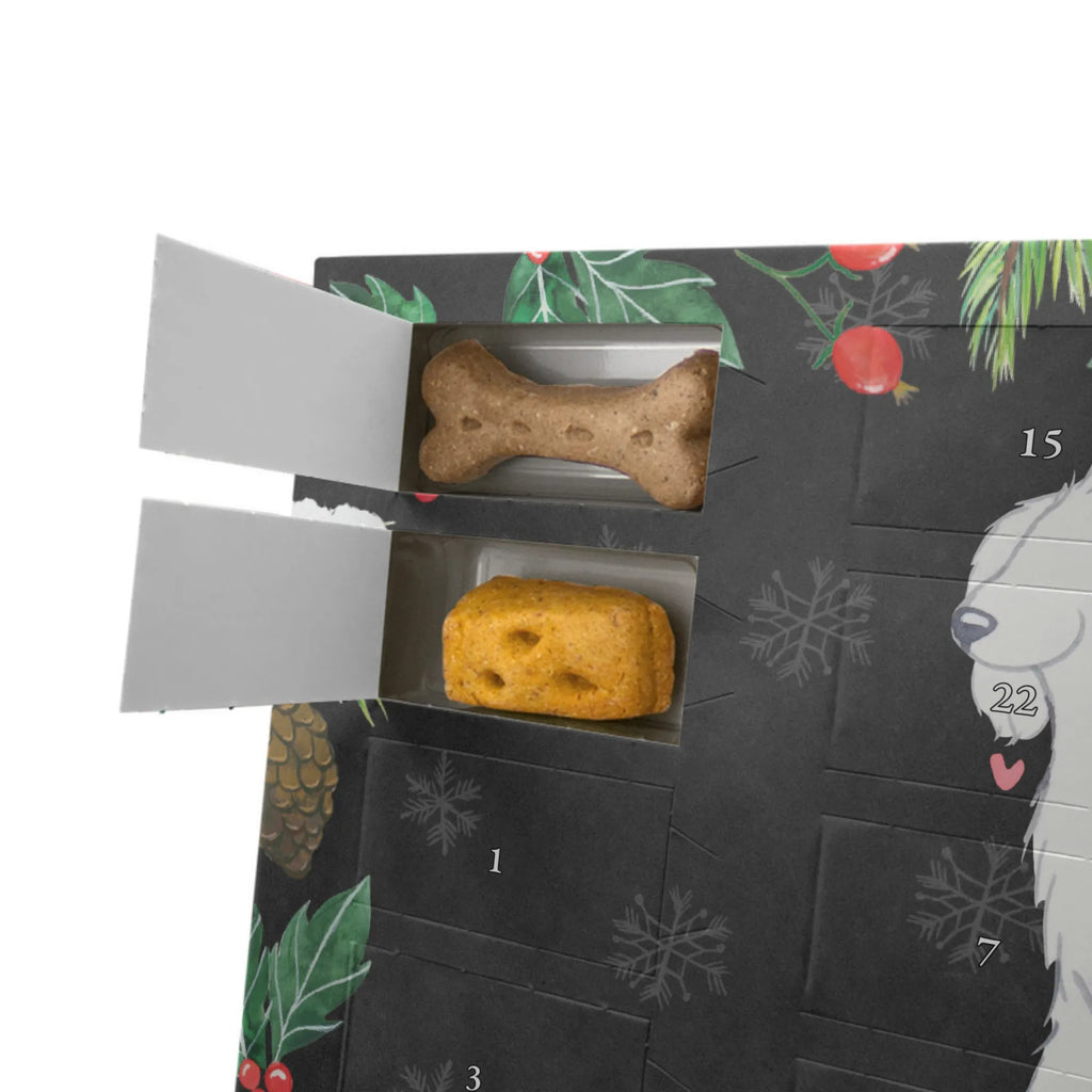 Personalisierter Hunde Adventskalender Bologneser Moment Hunde Adventskalender, Geschenk, Schenken, Hund, Hunderasse, Rassehund, Hundebesitzer, Tierfreund, Welpe, Bologneser