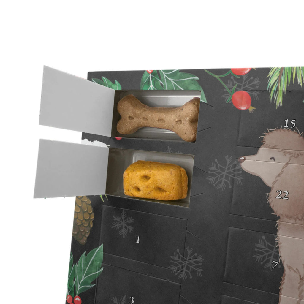 Personalisierter Hunde Adventskalender Irish Water Spaniel Moment Hunde Adventskalender, Geschenk, Schenken, Hund, Hunderasse, Rassehund, Hundebesitzer, Tierfreund, Welpe, Jagdhund, Irish Water Spaniel