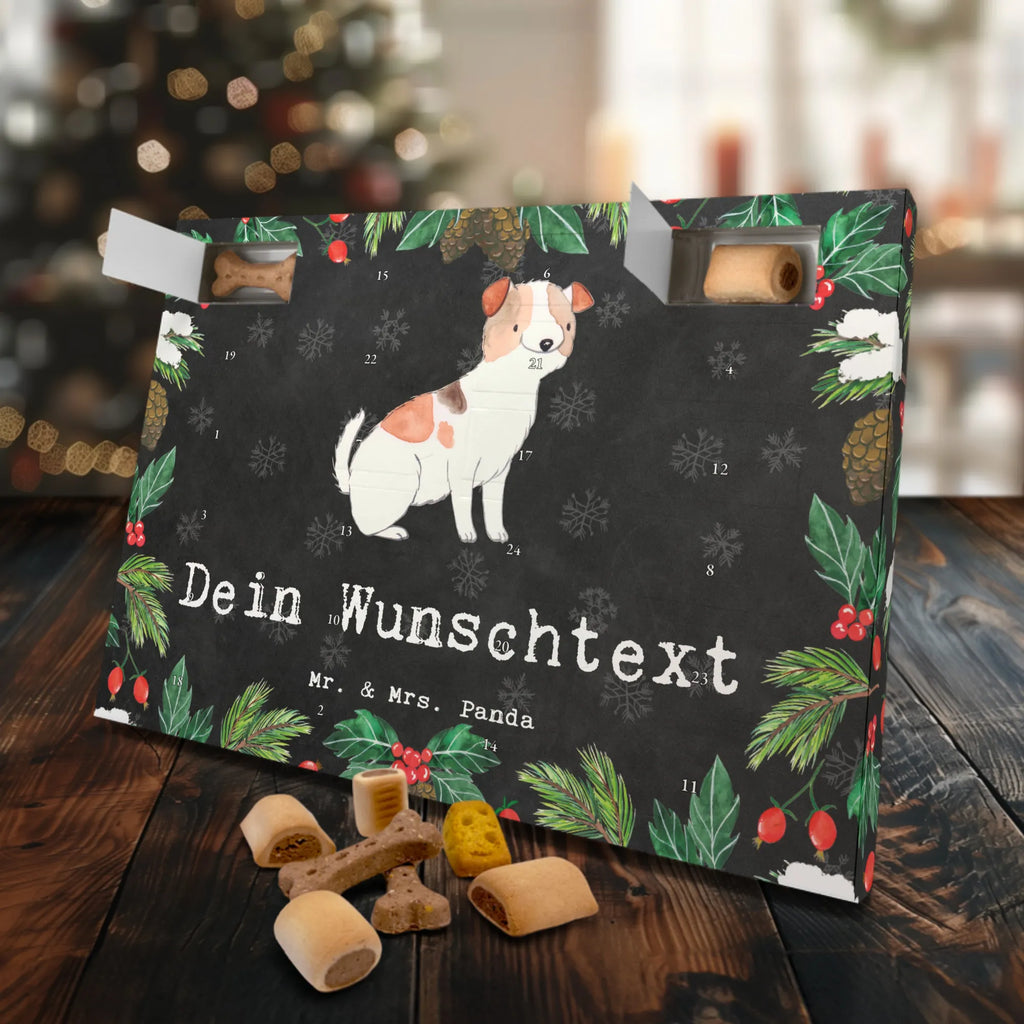  Jack Russell Terrier chwila Hunde Adventskalender, Geschenk, Schenken, Hund, Hunderasse, Rassehund, Hundebesitzer, Tierfreund, Welpe, Jack Russell Terrier