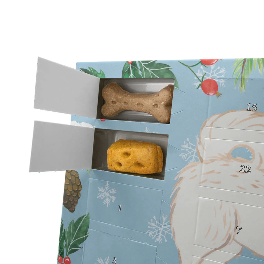 Personalisierter Hunde Adventskalender Maltipoo Moment Hunde Adventskalender, Geschenk, Schenken, Hund, Hunderasse, Rassehund, Hundebesitzer, Tierfreund, Welpe, Kreuzung, Mischling, Maltipoo
