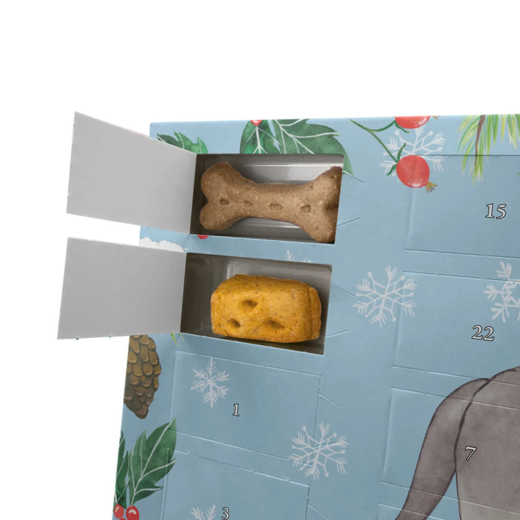 Personalisierter Hunde Adventskalender Neufundländer Moment Hunde Adventskalender, Geschenk, Schenken, Hund, Hunderasse, Rassehund, Hundebesitzer, Tierfreund, Welpe, Newfoundland, Neufundländer