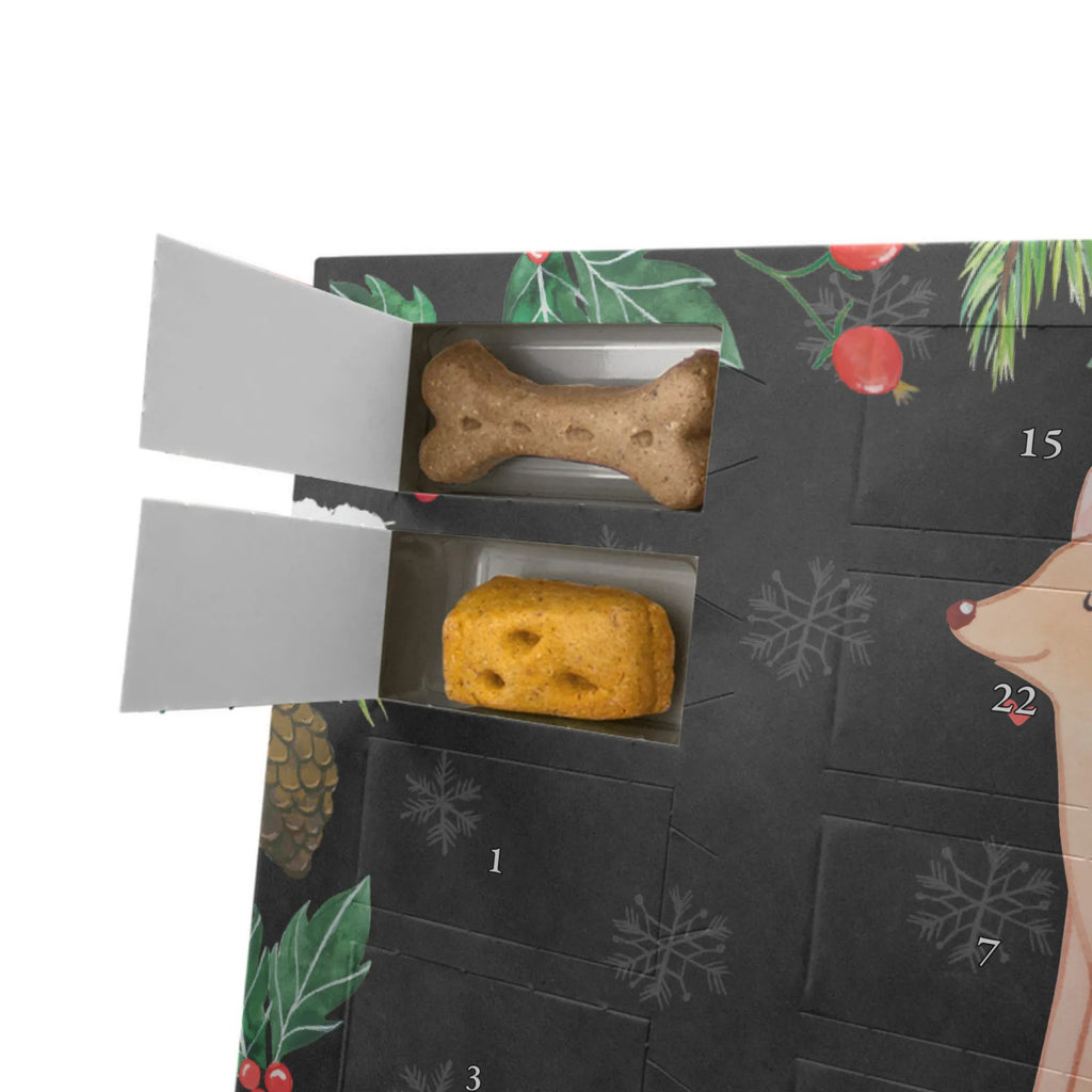 Personalisierter Hunde Adventskalender Pharaonenhund Moment Hunde Adventskalender, Geschenk, Schenken, Hund, Hunderasse, Rassehund, Hundebesitzer, Tierfreund, Welpe, Kelb Tal-Fenek, Pharaoh Hound, Pharaonenhund