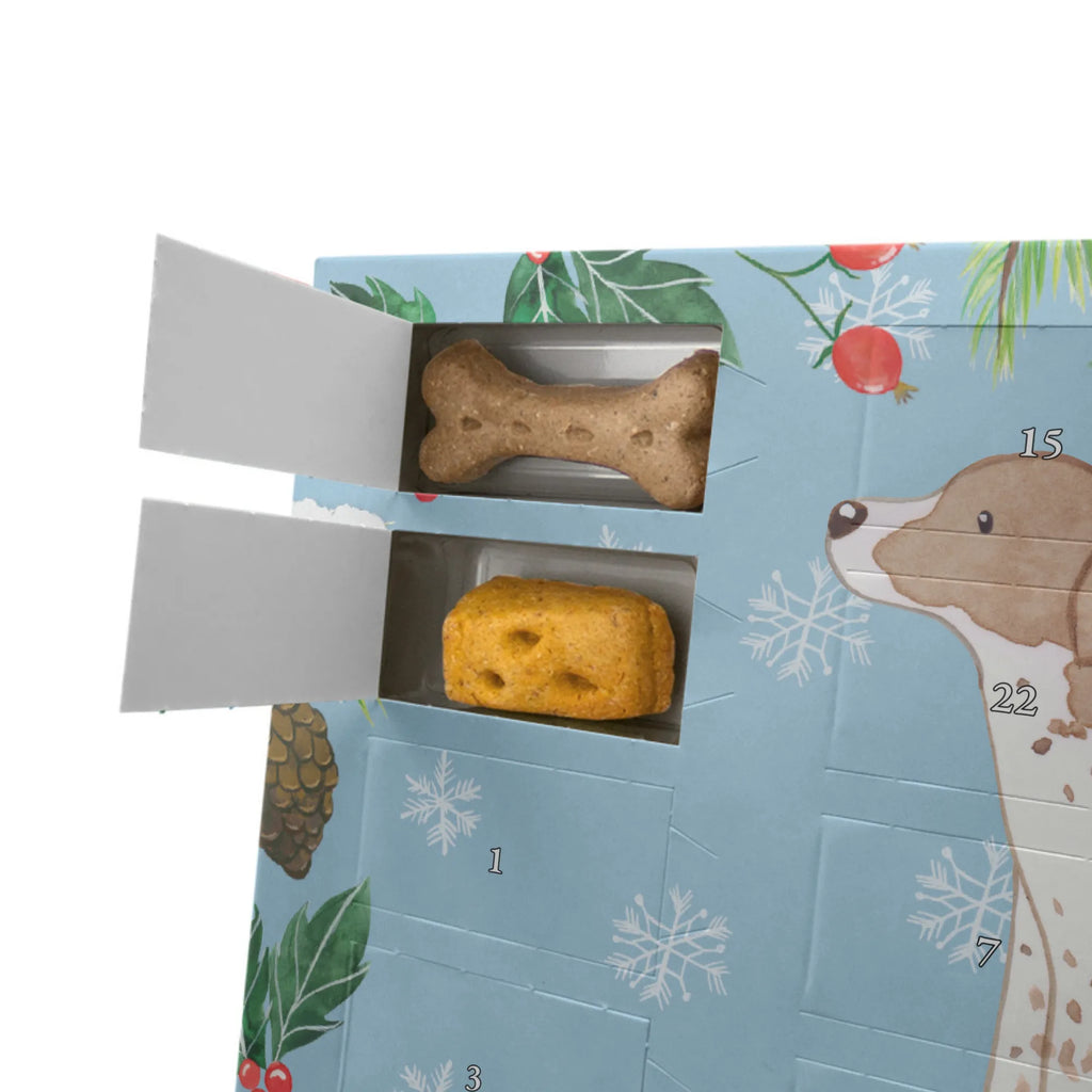 Personalisierter Hunde Adventskalender Pointer Moment Hunde Adventskalender, Geschenk, Schenken, Hund, Hunderasse, Rassehund, Hundebesitzer, Tierfreund, Welpe, English Pointer, Pointer