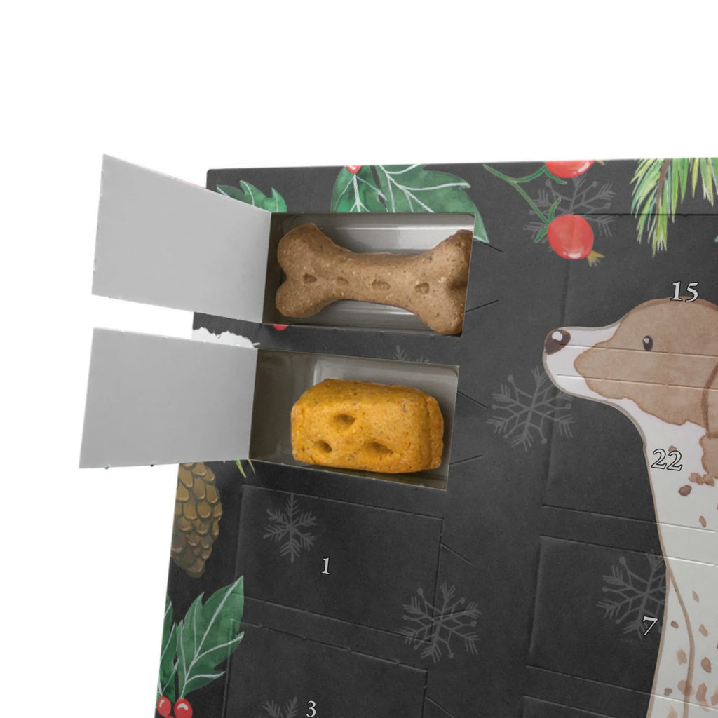 Personalisierter Hunde Adventskalender Pointer Moment Hunde Adventskalender, Geschenk, Schenken, Hund, Hunderasse, Rassehund, Hundebesitzer, Tierfreund, Welpe, English Pointer, Pointer