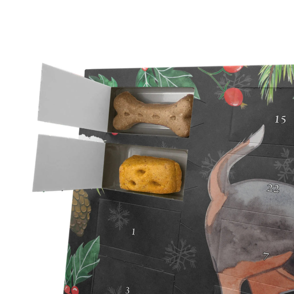 Personalisierter Hunde Adventskalender Basset Hound Moment Hunde Adventskalender, Hund, Hunderasse, Rassehund, Hundebesitzer, Geschenk, Tierfreund, Schenken, Welpe, Basset, Basset Hound