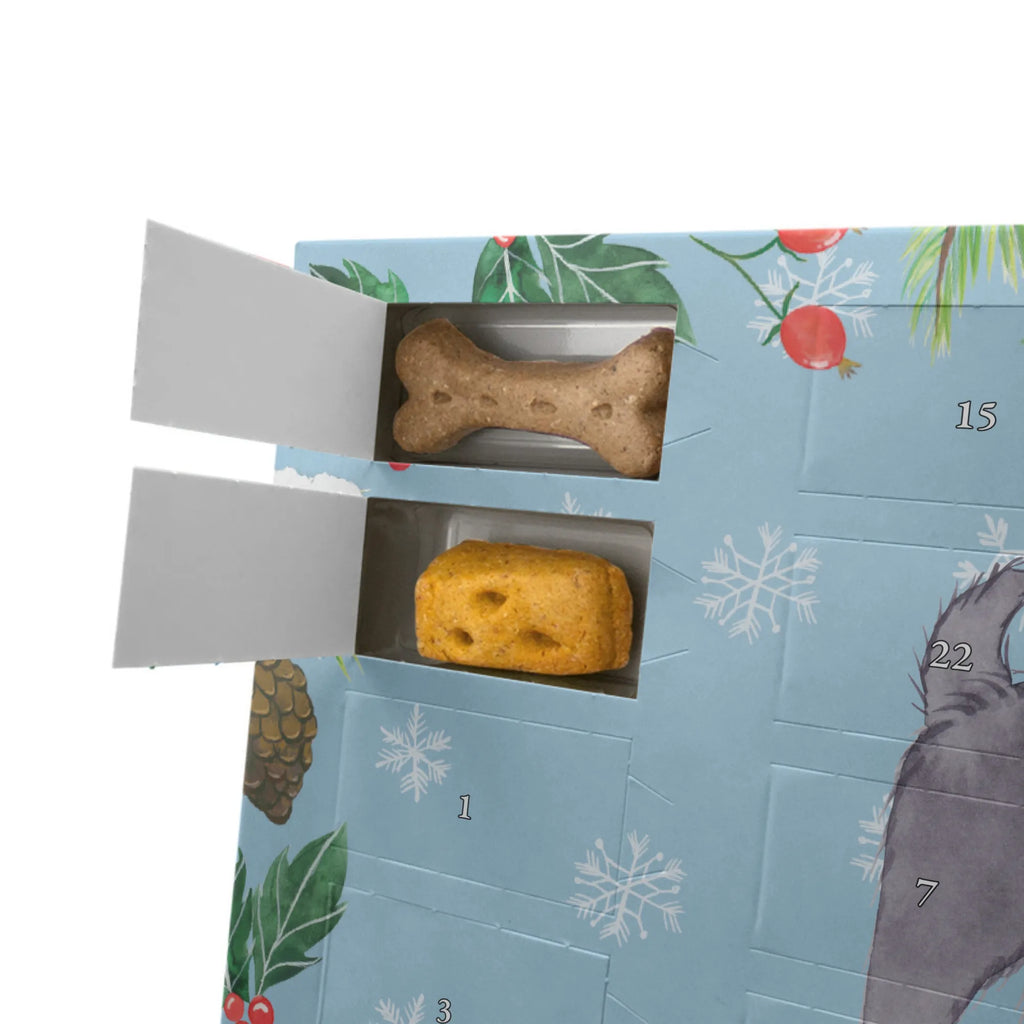 Personalisierter Hunde Adventskalender Schipperke Moment Hunde Adventskalender, Geschenk, Schenken, Hund, Hunderasse, Rassehund, Hundebesitzer, Tierfreund, Welpe, Schipperke, Belgische Hunderasse