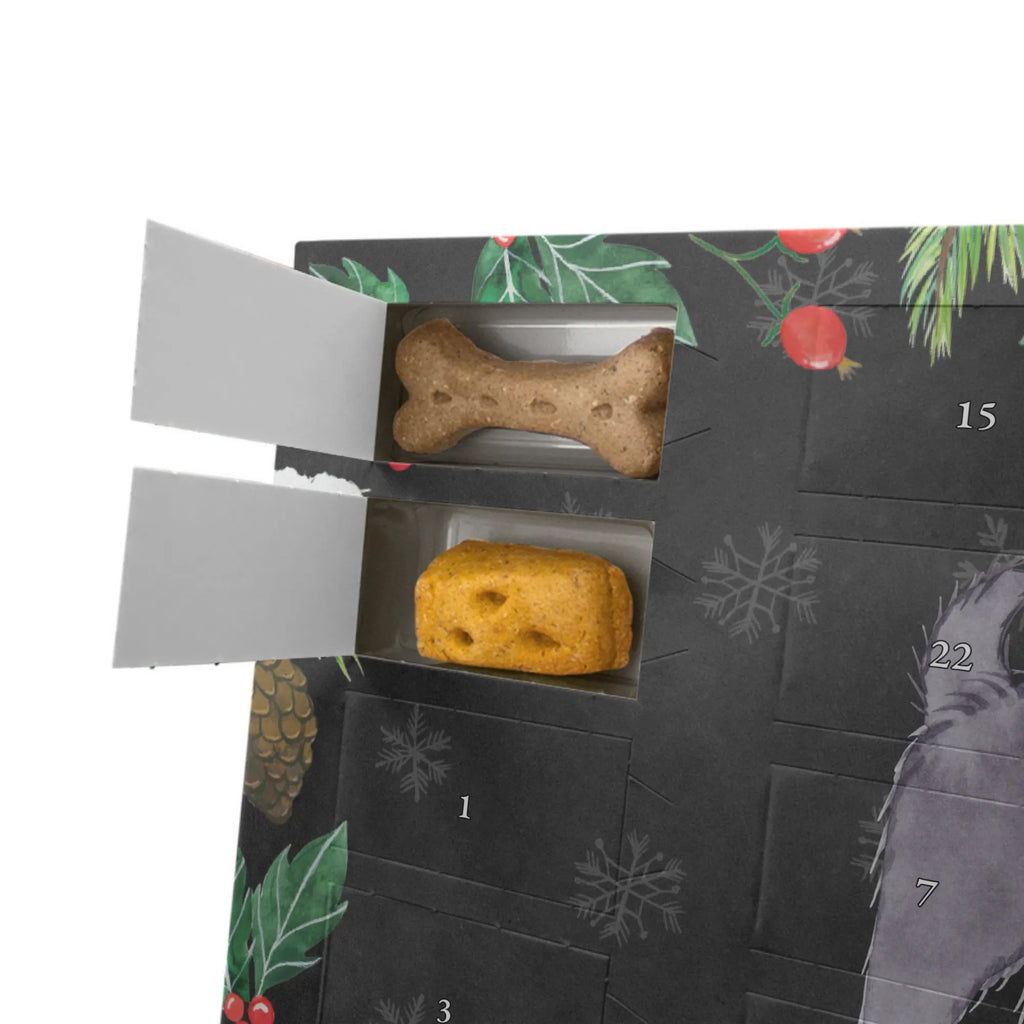 Personalisierter Hunde Adventskalender Schipperke Moment Hunde Adventskalender, Geschenk, Schenken, Hund, Hunderasse, Rassehund, Hundebesitzer, Tierfreund, Welpe, Schipperke, Belgische Hunderasse