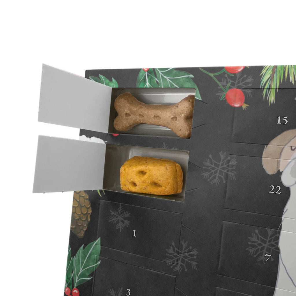  Saint Bernard Moment Hunde Adventskalender, Geschenk, Schenken, Hund, Hunderasse, Rassehund, Hundebesitzer, Tierfreund, Welpe, Saint Bernard Dog, St. Bernhardshund, Saint Bernard, Chien Du Saint-Bernard, Perro San Bernardo