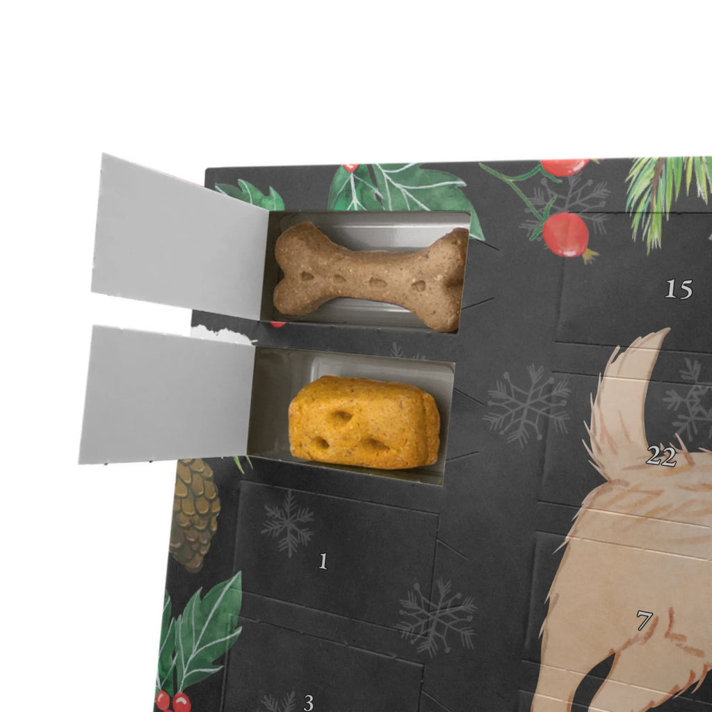 Personalisierter Hunde Adventskalender Cairn Terrier Moment Hunde Adventskalender, Geschenk, Schenken, Hund, Hunderasse, Rassehund, Hundebesitzer, Tierfreund, Welpe, Cairn Terrier