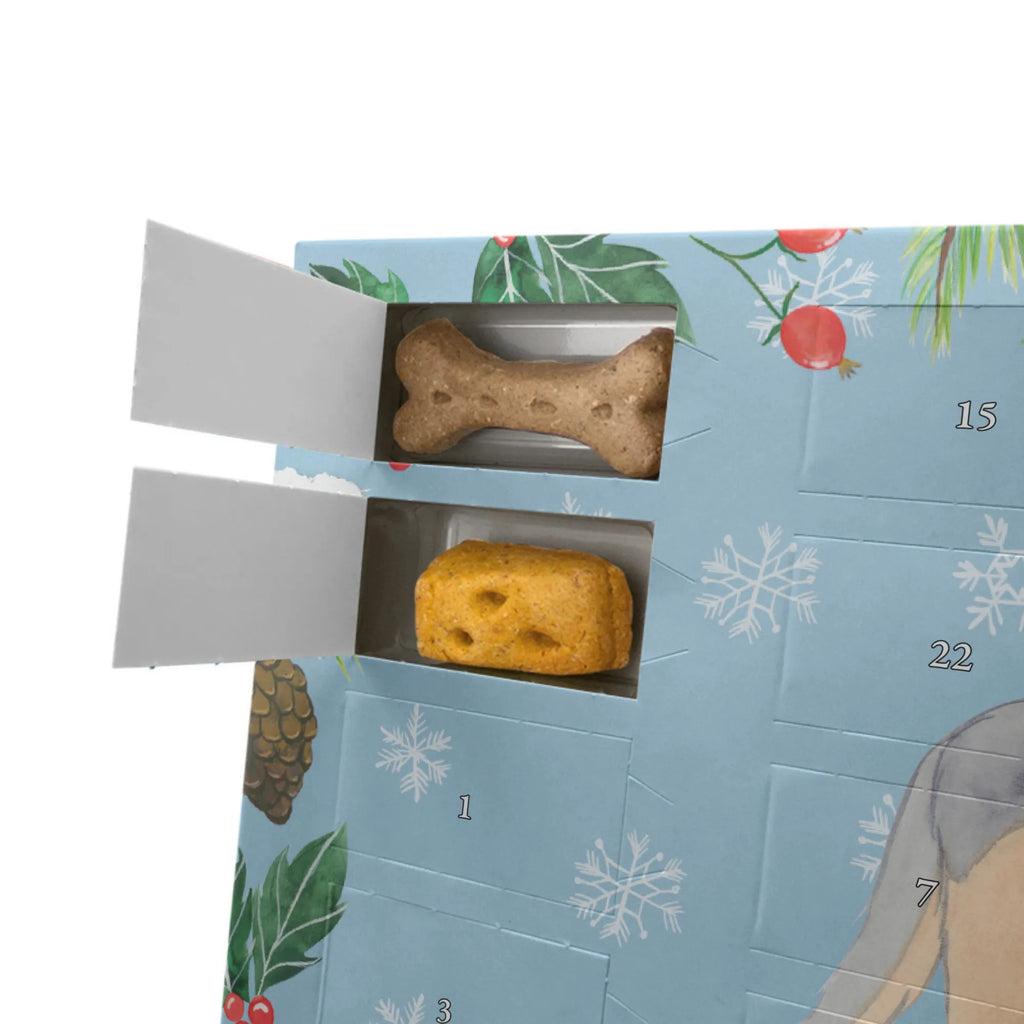 Personalisierter Hunde Adventskalender Shetland Sheepdog Moment Hunde Adventskalender, Geschenk, Schenken, Hund, Hunderasse, Rassehund, Hundebesitzer, Tierfreund, Welpe, Sheltie, Shetland Sheepdog
