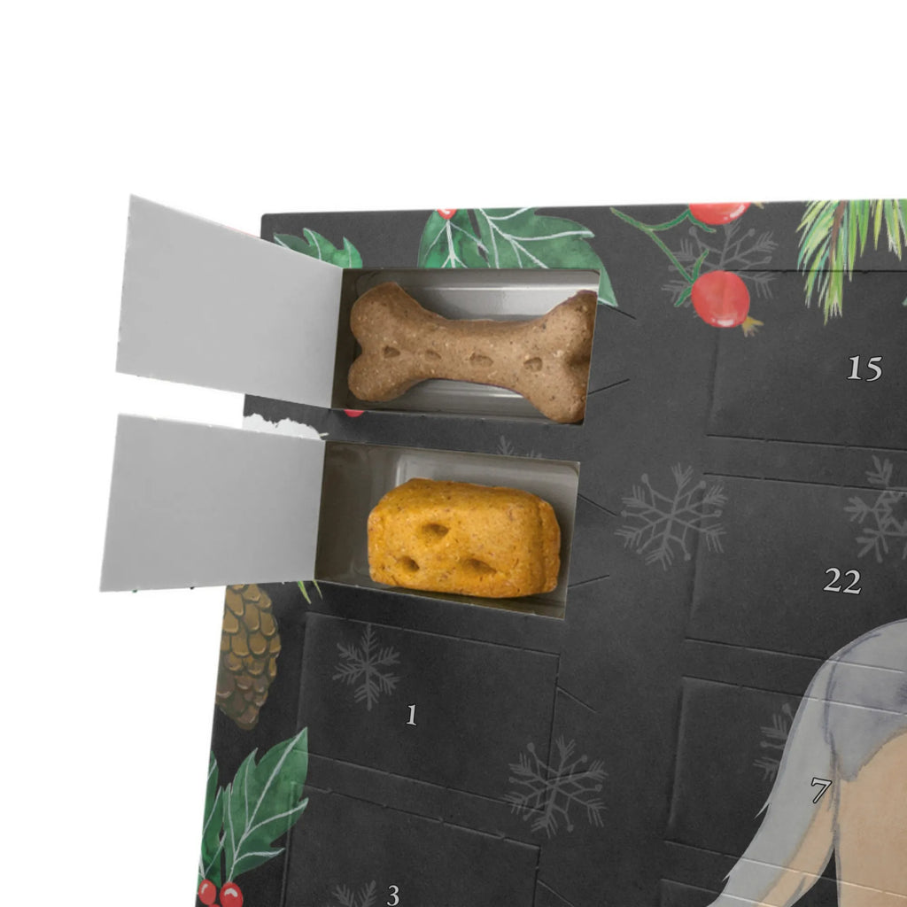 Personalisierter Hunde Adventskalender Shetland Sheepdog Moment Hunde Adventskalender, Geschenk, Schenken, Hund, Hunderasse, Rassehund, Hundebesitzer, Tierfreund, Welpe, Sheltie, Shetland Sheepdog