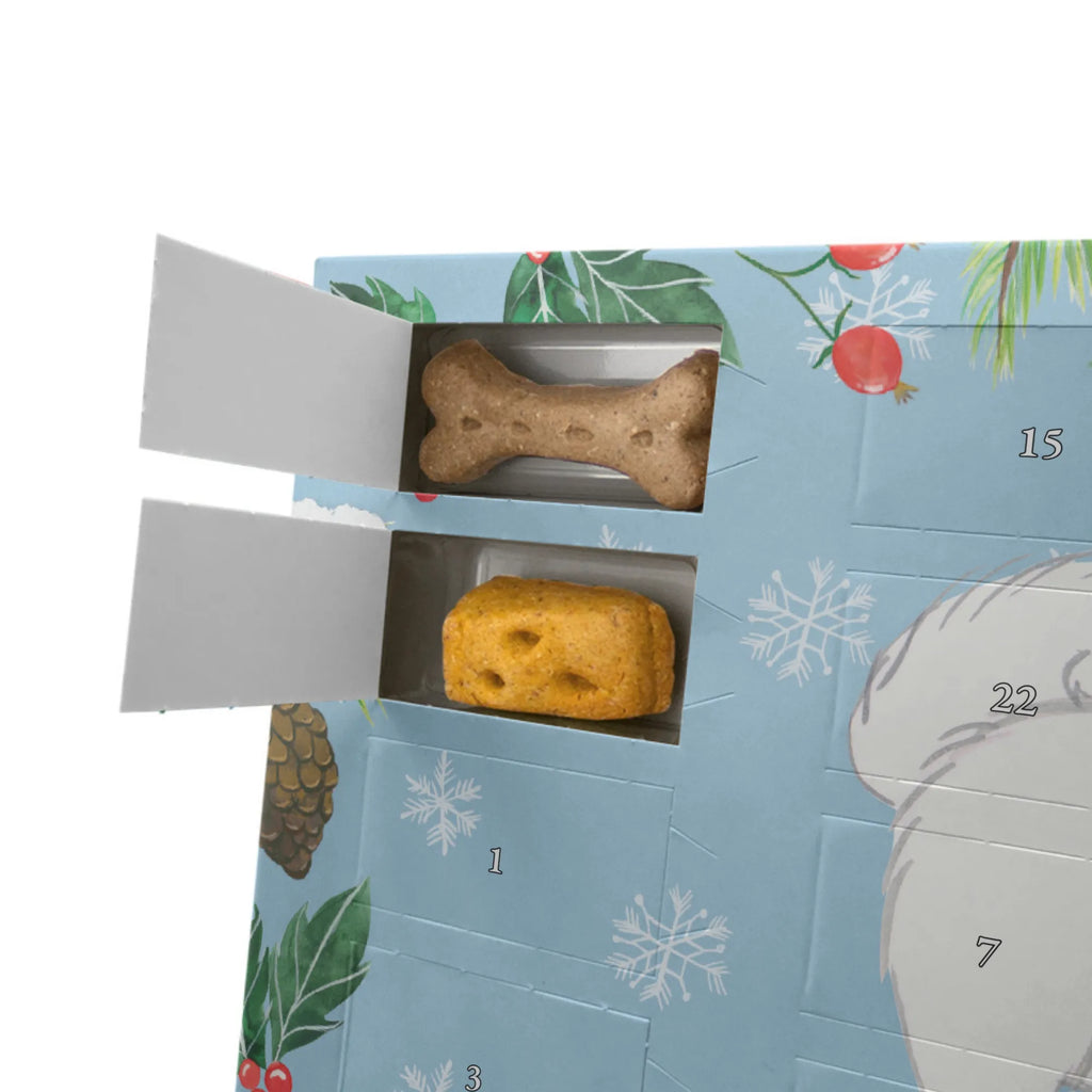 Personalisierter Hunde Adventskalender Spitz Moment Hunde Adventskalender, Geschenk, Schenken, Hund, Hunderasse, Rassehund, Hundebesitzer, Tierfreund, Welpe, Spitz